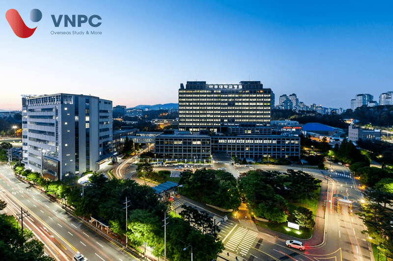 Đăng nhập King88 vina nhận +888K hàn quốc ngành dược